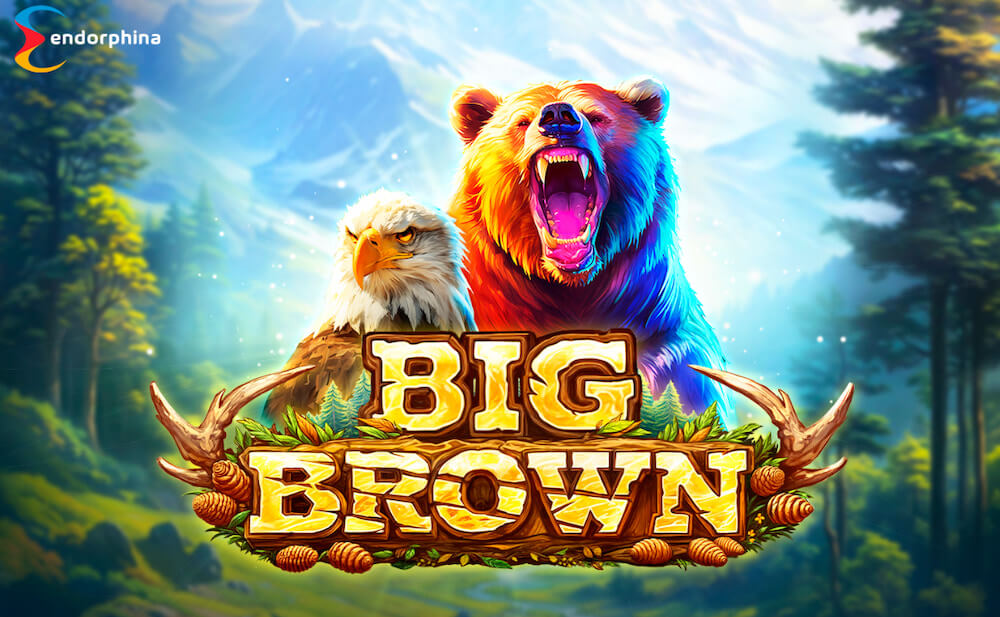 Big Brown Ülevaade