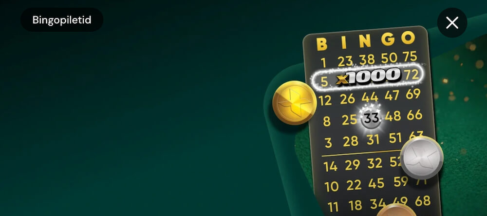 Paf Ülevaade Bingo